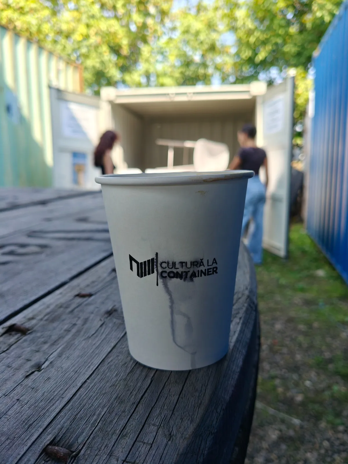 Cultură la Container — imagine 4